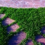 Система полива Автоматический полив Рулонный газон Укладка брусчатки Озеленение Благоустройство Ижевск